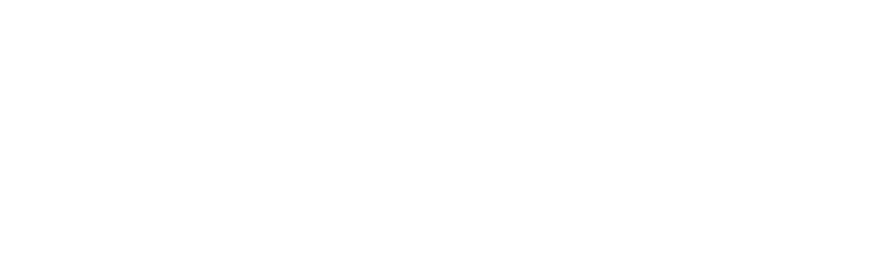 Volateq horizontal white logo