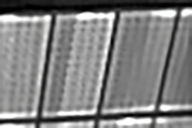 two bypass diodes