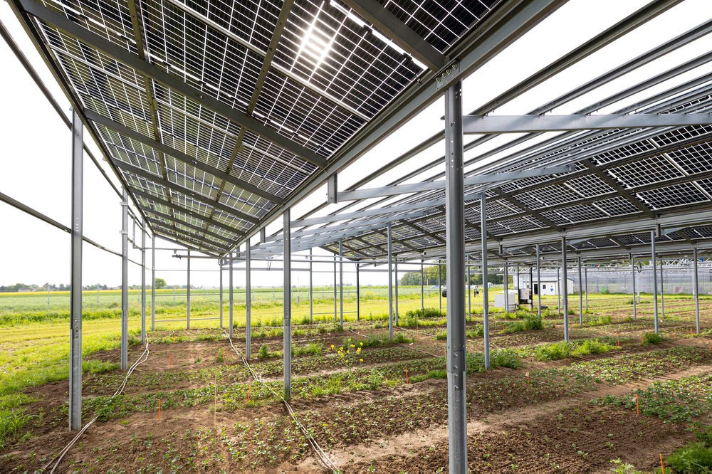 Agrivoltaic solar plant monitoring image from Volateq APV Monitor inspection project
